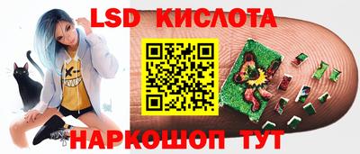 ешки Будённовск