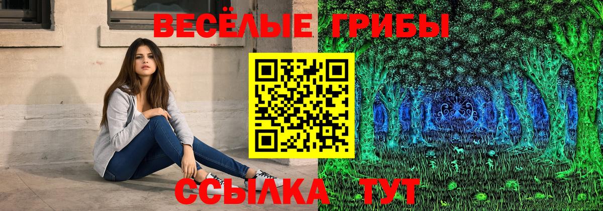 Галлюциногенные грибы GOLDEN TEACHER Подольск