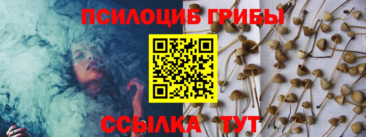Галлюциногенные грибы Cubensis  хочу наркоту  Подольск  Вход с VPN 